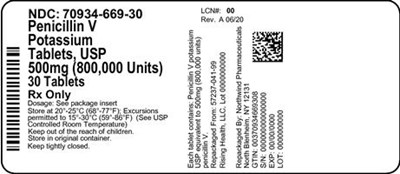 Label (70934 669 30 Master Bottle Label Approval   Rev A 06 20)